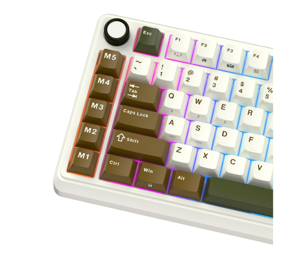 Royal Kludge RK L75 Palm Green Beige switch - 1455763 - zdjęcie 5